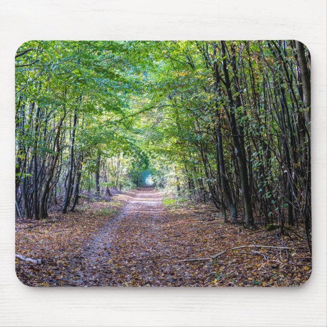 Pathway i höstskogen, Saint-Germain Forest Musmatta (Framsidan)