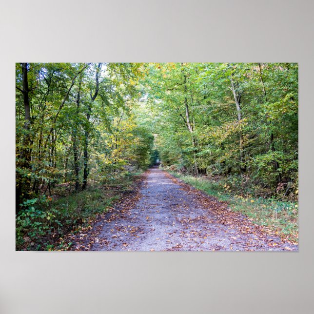 Pathway i höstskogen, Saint Germain Forest Poster (Framsidan)