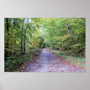 Pathway i höstskogen, Saint Germain Forest Poster