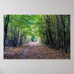 Pathway i höstskogen, Saint Germain Forest Poster