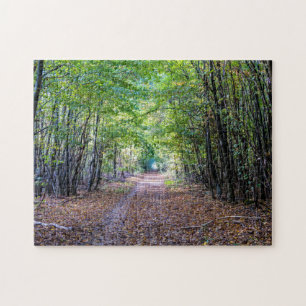 Pathway i höstskogen, Saint Germain Forest Pussel
