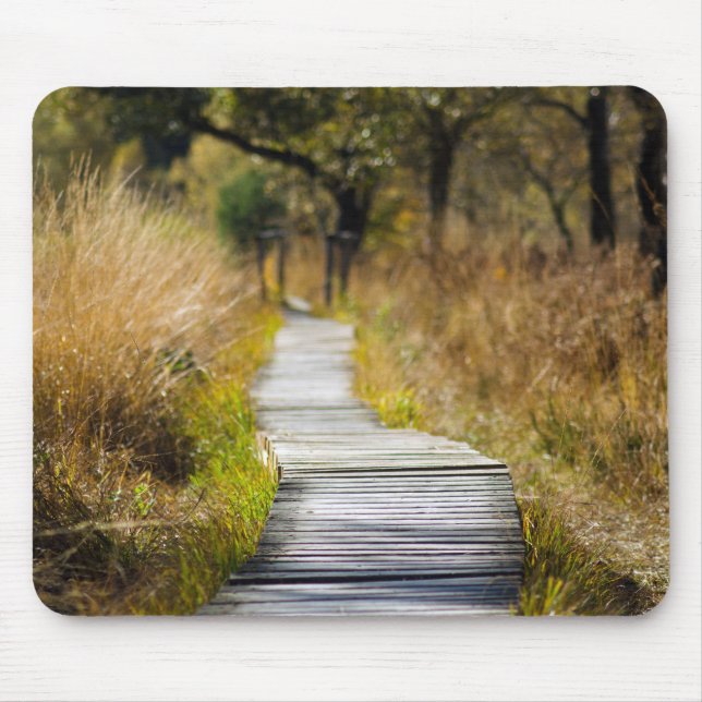 Pathway till Zen Musmatta (Framsidan)