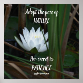 Patience Emerson Inspirational Citote Lotus Poster