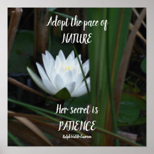 Patience Emerson Inspirational Citote Lotus Poster