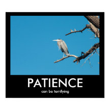 PATIENCE, kan vara skrämmande för demografiskt Pos