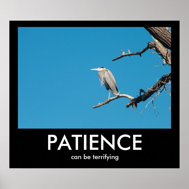 PATIENCE, kan vara skrämmande för demografiskt Pos Poster (Framsidan)