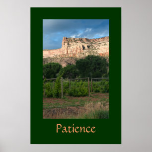 Patiens Poster