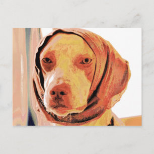 Patienternas Hund Vykort