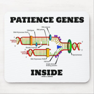 Patientgener inom DNA-replikering Humor Musmatta