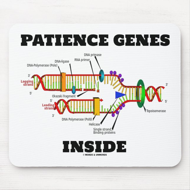 Patientgener inom DNA-replikering Humor Musmatta (Framsidan)