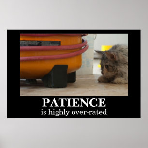 Patientkatt och Poster av mus Demotivational