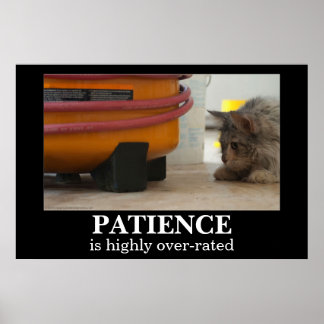 Patientkatt och Poster av mus Demotivational