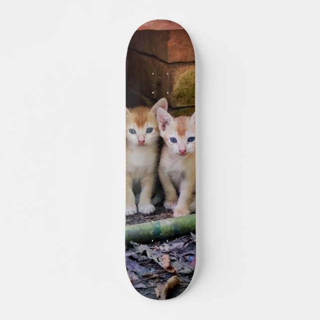 Patineta Dos Gaticos Hermanos Atentos Mini Skateboard Bräda 18,5 Cm (Framsida)