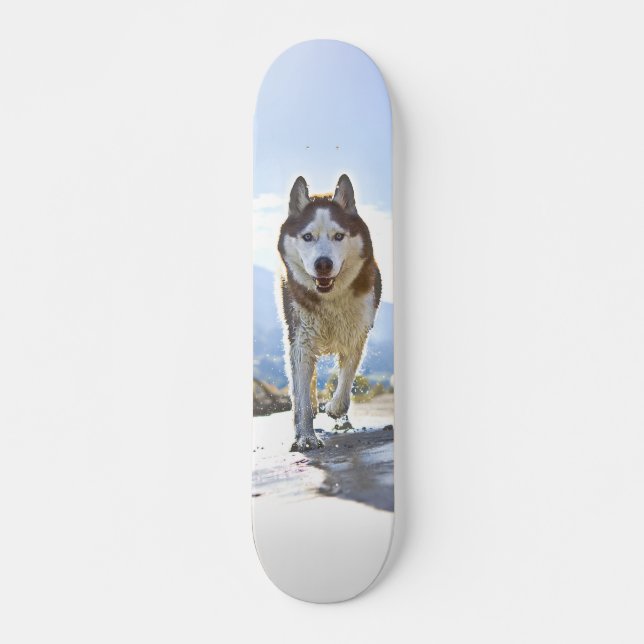 Patineta Enérgico Husky Siberiano Caminando Mini Skateboard Bräda 18,5 Cm (Framsida)
