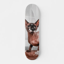 Patineta Gato Raza Esfinge  Mini Skateboard Bräda 18,5 Cm