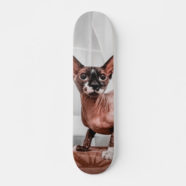 Patineta Gato Raza Esfinge  Mini Skateboard Bräda 18,5 Cm (Framsida)