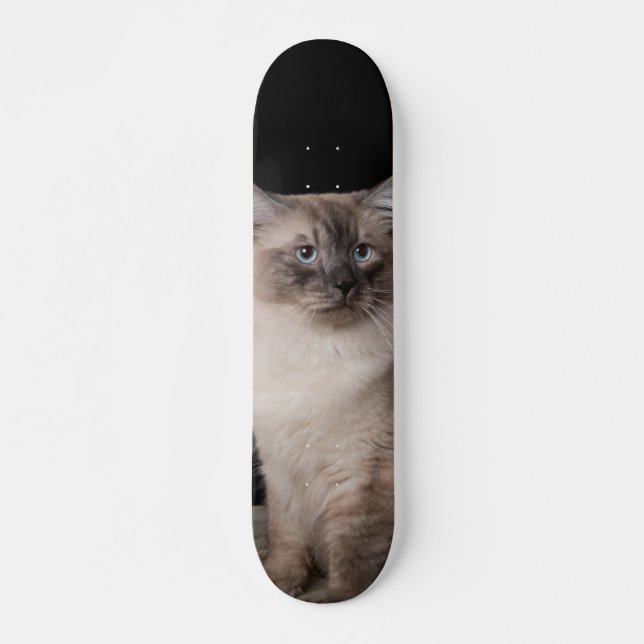 Patineta Gato Siberiano Observando Mini Skateboard Bräda 18,5 Cm (Framsida)