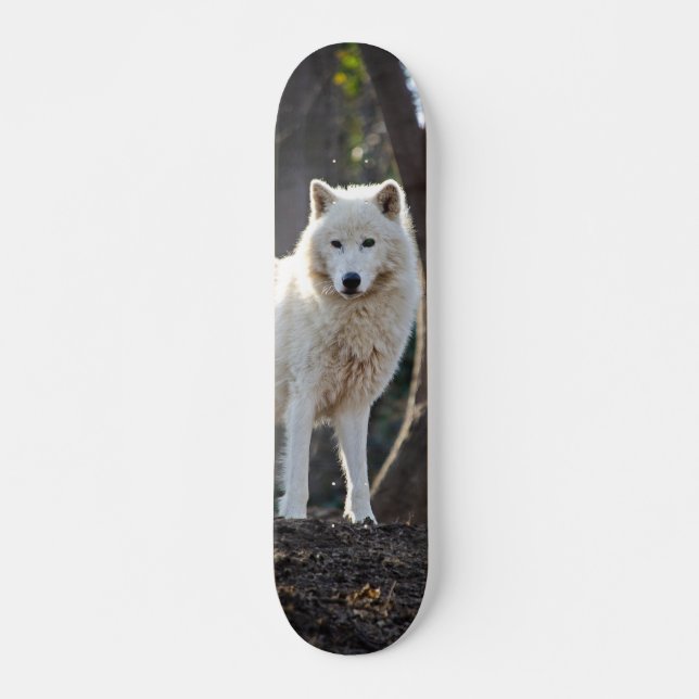 Patineta Lobo Blanco En El Bosque Mini Skateboard Bräda 18,5 Cm (Framsida)
