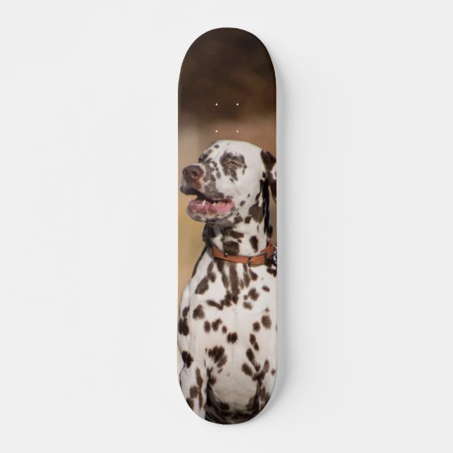 Patineta Perro Dálmata Sentado Al Aire Libre Mini Skateboard Bräda 18,5 Cm (Framsida)