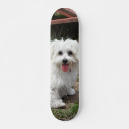 Patineta Perro Pequeño Blanco Y Peludo Mini Skateboard Bräda 18,5 Cm