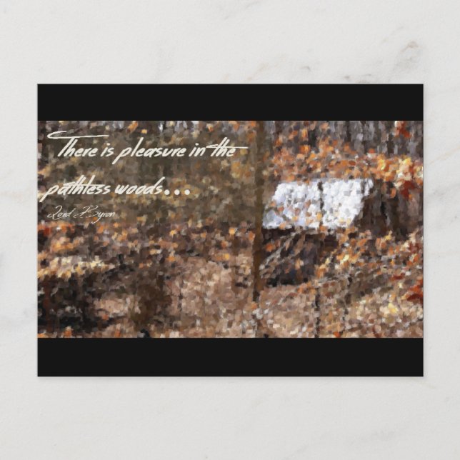 Patless Skogen Vykort (Framsida)