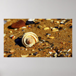 Patonga sand poster