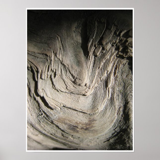 Patriarkernas jordmån poster (Framsidan)