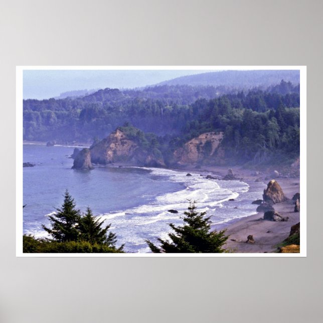 Patrick Point State Park Poster (Framsidan)