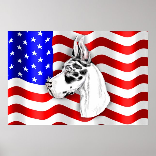 Patriot Dane Harle Poster (Framsidan)