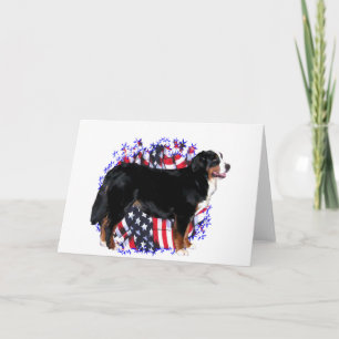Patriot för Bernese berghund Kort