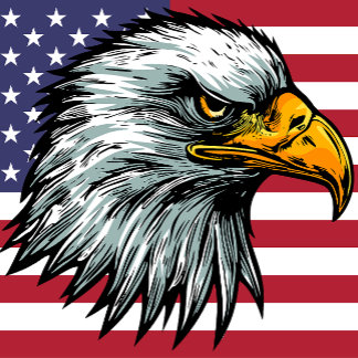 Patriot örn t-shirt