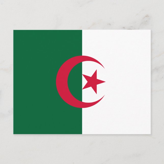 Patriotic Algerian Flagga Vykort (Framsida)