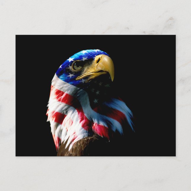Patriotic American Eagle Vykort (Framsida)