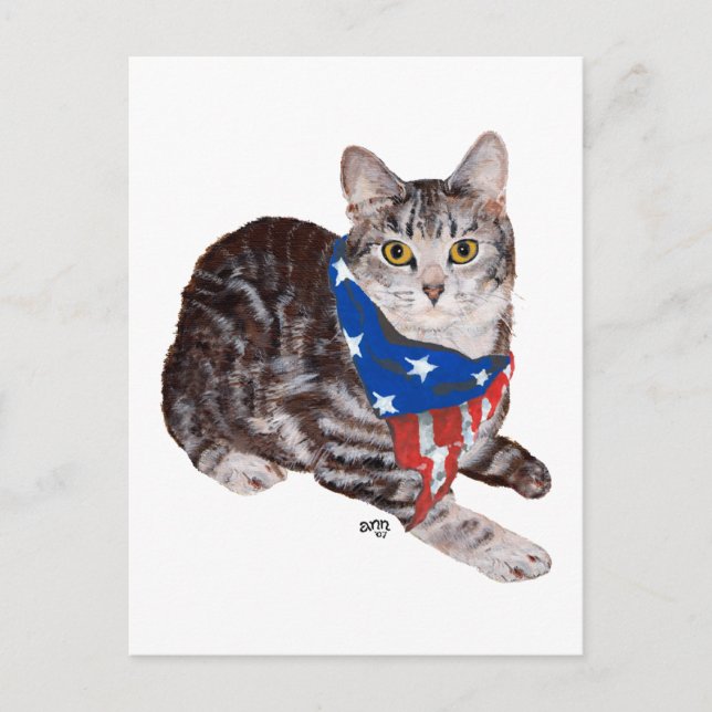 Patriotic American Shorthair Tabby katt Vykort (Framsida)
