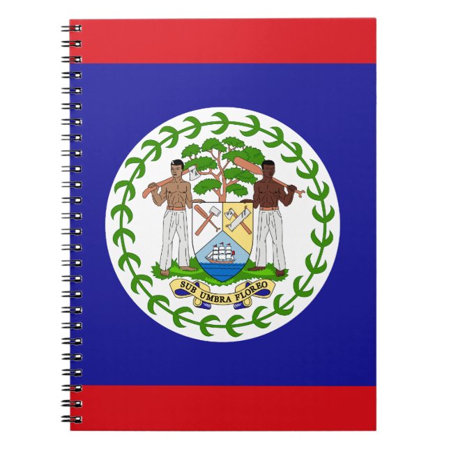 Patriotic Belizean Flagga Anteckningsbok (Framsidan)