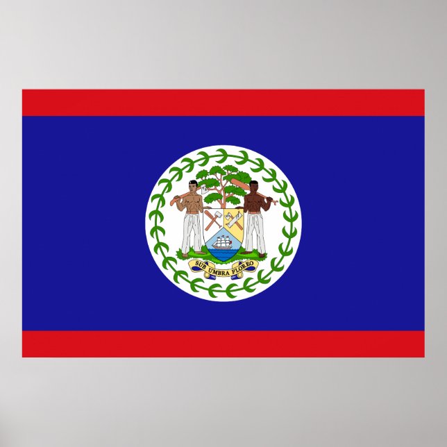 Patriotic Belizean Flagga Poster (Framsidan)