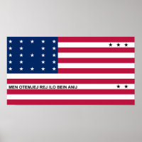 Patriotic Bikini Afee Flagga