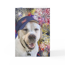 Patriotic Birthday Hund och Fireworks