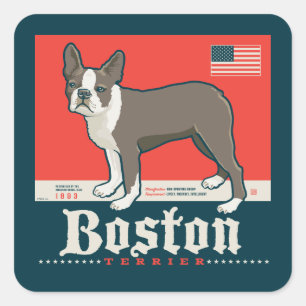 Patriotic Boston Terrier Fyrkantigt Klistermärke