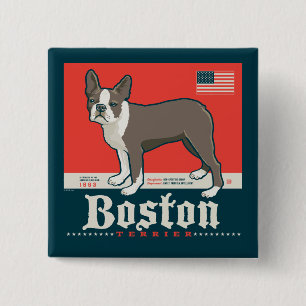 Patriotic Boston Terrier Knapp