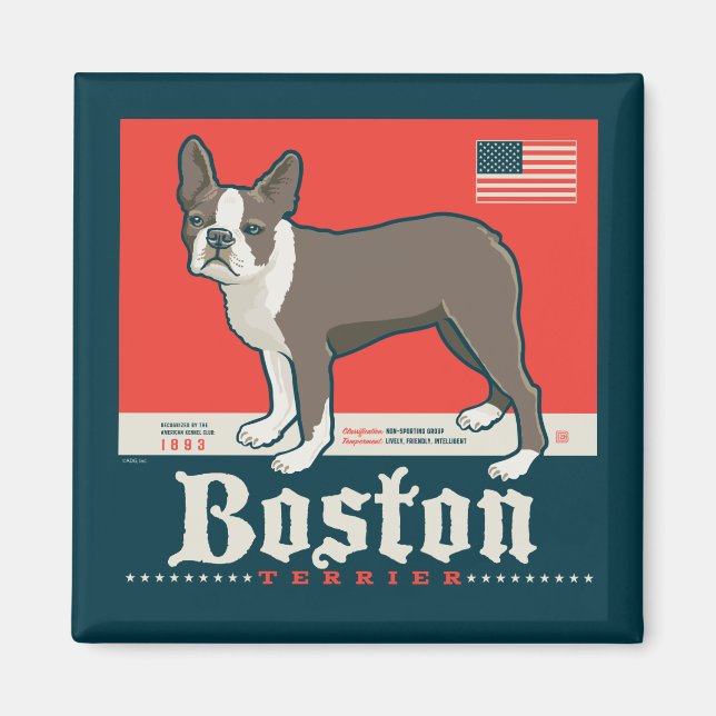 Patriotic | Boston Terrier Magnet (Framsidan)
