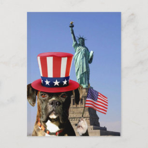Patriotic boxer hund vycard vykort