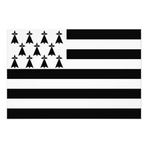 Patriotic Brittany Flagga Fototryck