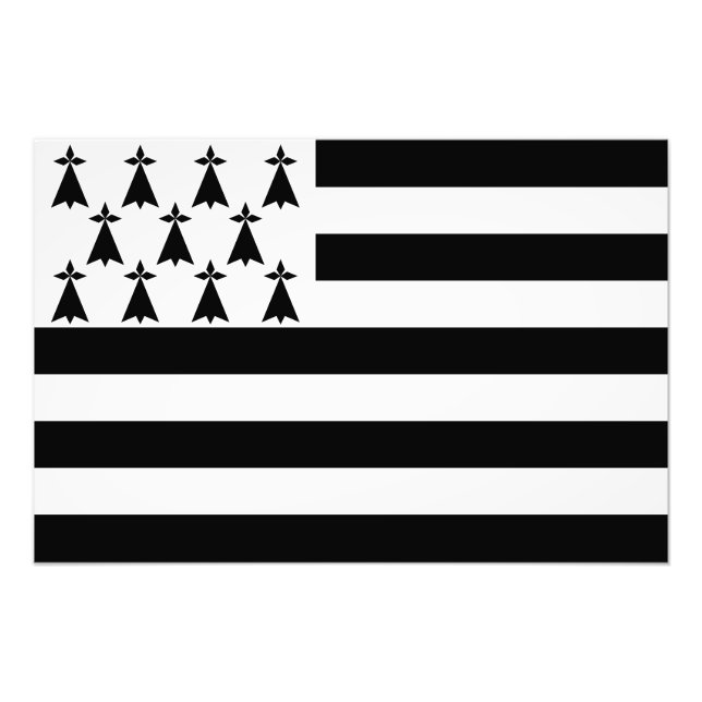 Patriotic Brittany Flagga Fototryck (Framsidan)