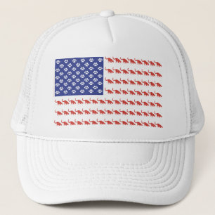 Patriotic Cat/USA Keps
