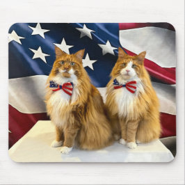 Patriotic Cats Musmatta