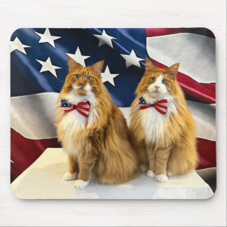 Patriotic Cats Musmatta
