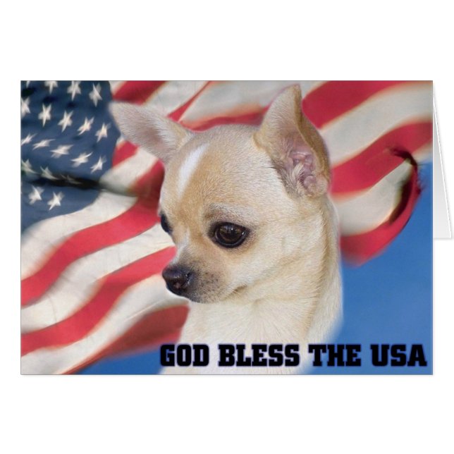 Patriotic Chihuahua-kort Hälsningskort (Framsidan Horizontal)