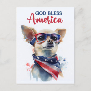 Patriotic Chihuahua, vykort för Välsigna dig Ameri