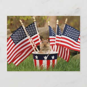 Patriotic Chipmunk Vykort